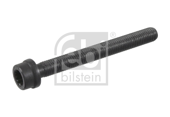 Cylinder Head Bolt